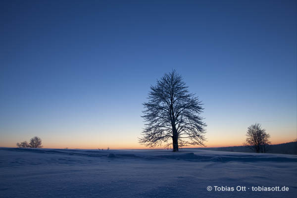 Fotografien zur blauen Stunde