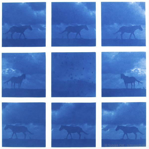 Cyanotype Horses / Pferde
