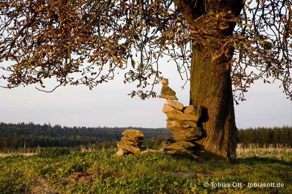 Die Goldene Stunde: Steinstapel unter dem Kastanienbaum