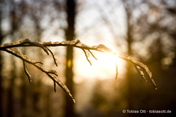 Fotografien zur goldenen Stunde