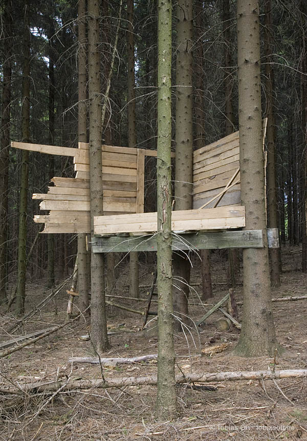 Hölzernes Baumhaus im Wald