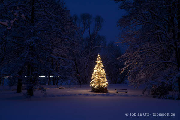 Thema: Weihnachten